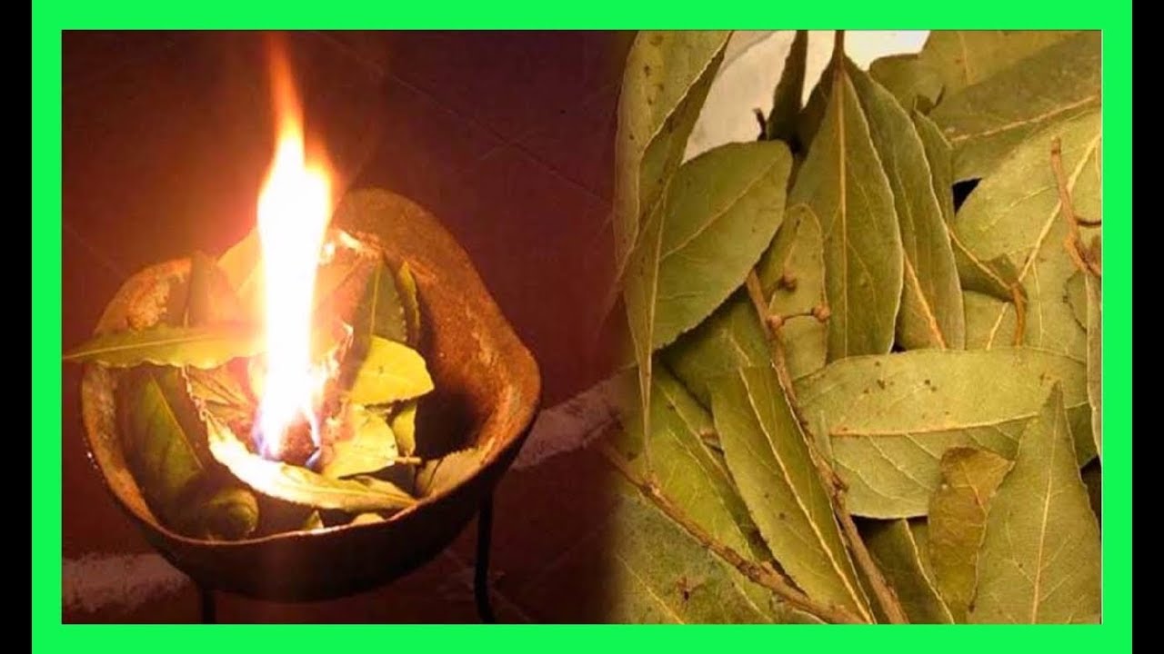 Quema Hojas De LAUREL En Tu Hogar Y Verás Lo Que Pasa En Solo 10 Minutos remedios naturales para la artritis
