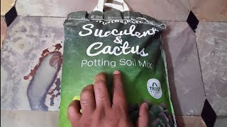 Trust Basket Succulent And Cactus Potting Soil Mix