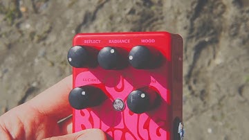 Super Awesome Pedal Show: Catalinbread Bicycle Delay