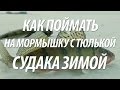 СУДАК ЗИМОЙ НА МОРМЫШКУ СО ЛЬДА НА ТЮЛЬКУ И ЧЕРВЯ