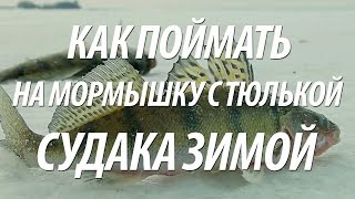 СУДАК ЗИМОЙ НА МОРМЫШКУ СО ЛЬДА НА ТЮЛЬКУ И ЧЕРВЯ