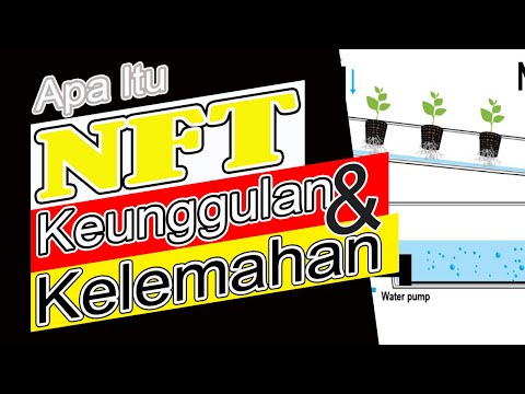 Video: Pengeluaran dengan pelaburan minimum: idea perniagaan terbaik