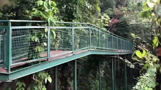 Babakan Siliwangi Bandung ( Wisata Bandung )
