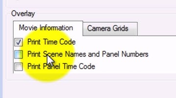 7.1.Storyboarding Tutorials: Burning In Extra Information In Storyboard Pro