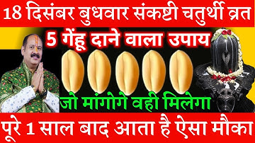 18 दिसंबर बुधवार संकष्टी चतुर्थी व्रत के दिन 5 गेहूं के दाने वाला उपाय जरूर करें ||Pradeep Ji Mishra