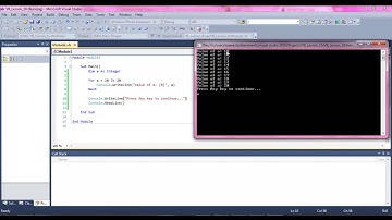 Visual Basic Lesson 10: For Loop