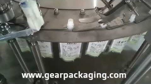 Automatic 4 nozzles rotary premade bag filling capping machine testing video