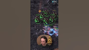 StarCraft 2: Lowko gets PROTOSSED!