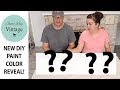 NEW DIY PAINT COLOR REVEAL! Mp3 Song