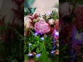 Ramo de peonías #Viral #fly #FloristeriaMontmartreFleurs #ramospeonias www.montmartrefleurs.com