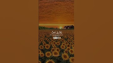 وقال إني ذاهب إلى ربي سيهدين | القارئ رعد الكردي | Quran tilawat short video #viral #shortvideo