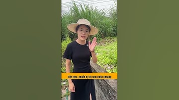 Cách chiết cành cây bưởi đơn giản tại nhà #meotrongcay #trongcay#chieccanh #trongcaytainha #lamvuont