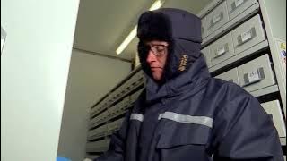 World's largest wild seed bank marks 25 years | REUTERS