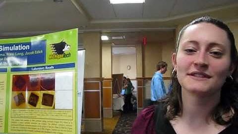 Biodegradable Stent Simulation