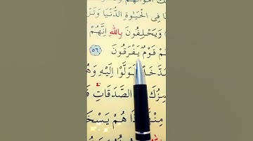سورة التوبة الأية 55 إلى 58 القارئ سعد الغامدي