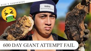 600 DAY GIANT SWEET POTATO ATTEMPT FAIL! (2025 Giant Sweet Potato Attempt!)(3/3)