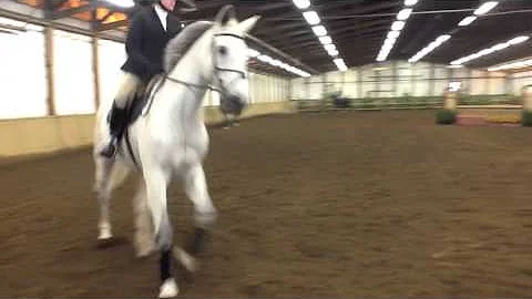 Julia O'Neil (Open Flat) on Nika