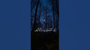 (فسبحان الله حين تمسون وحين تصبحون)--القارئ عبدالرحمن مسعد _سورة الروم❤️❤️🎧