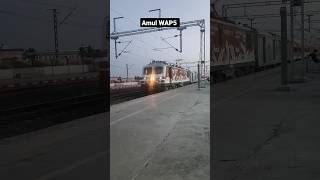 The Beast Amul WAP5 ❤️❤️❤️. wap5 amul indianrailways shorts