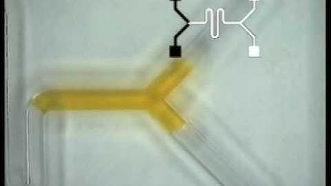 University of Michigan Music moves microfluidic drops