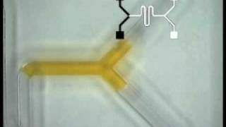 University of Michigan Music moves microfluidic drops