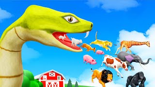 Giant Snake to Small Snake - Funny Video | Giant Snake Eating All Animals in Forest Animal Cartoons