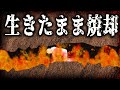 無惨！洞窟内でまさかの事態に見舞われた男の末路【カーネギー洞窟事故】【ゆっくり解説】