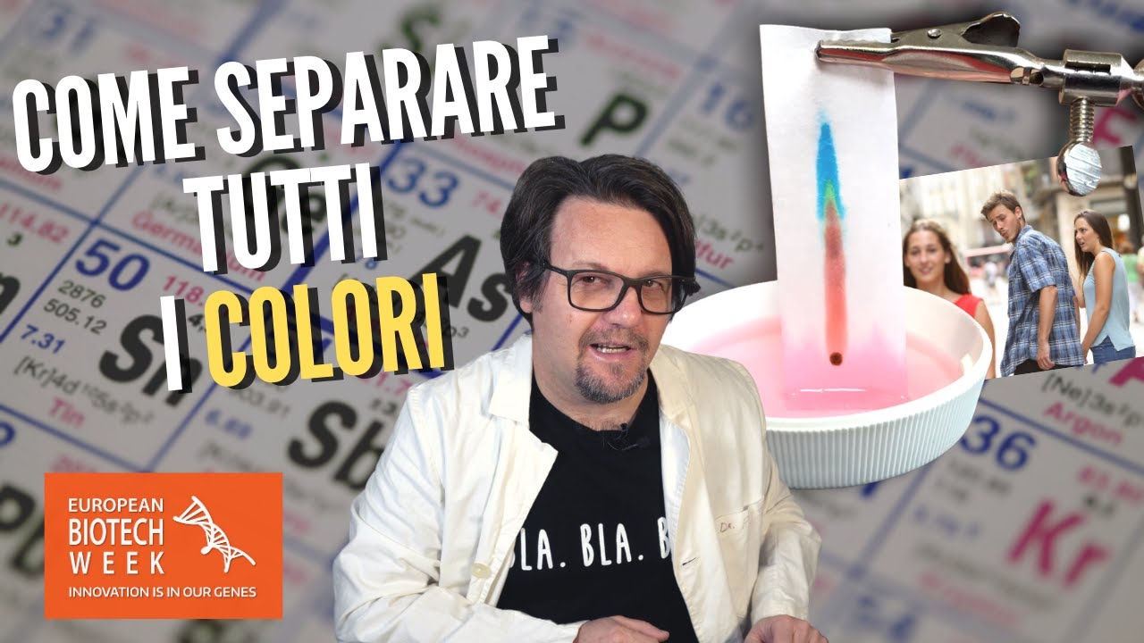 Come separare tutti i colori:  la cromatografia fatta in casa.
