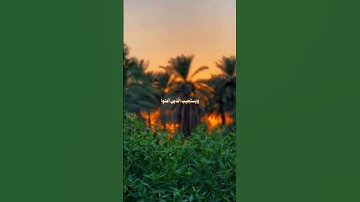 #قرآن كريم #اكتب شئ تؤجر عليه 