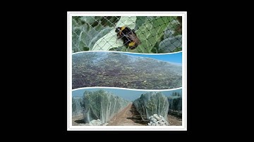 Bee Netting used in agriculture