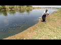 Amazing fishing video | Catching the big catfish