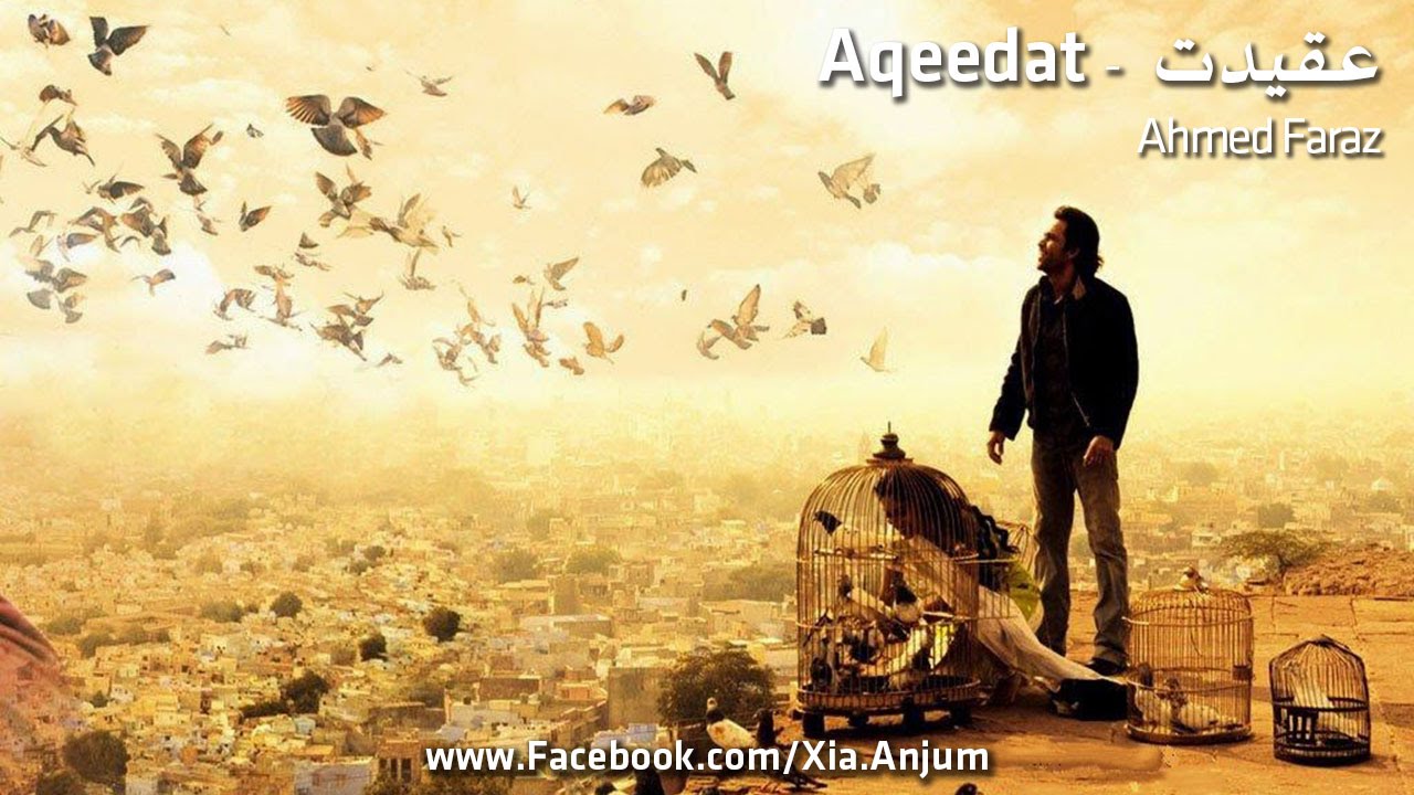 AQEEDAT Ahmed Faraz Zia Anjum Urdu Hindi Poetry YouTube AQEEDAT Ahmed Faraz Zia Anjum Urdu Hindi Poetry YouTube