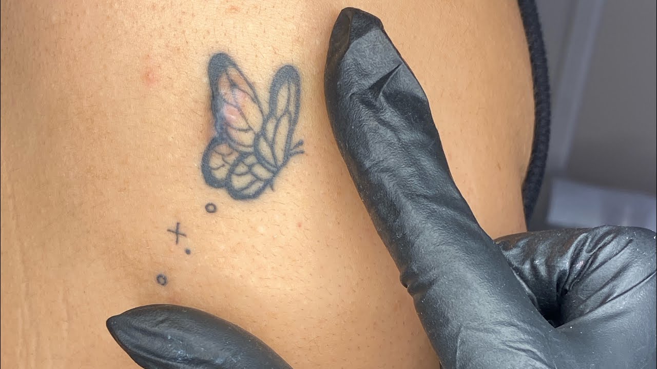 Butterflies are symbols of beauty and delicacy due to their attractive appearance and gentle nature.