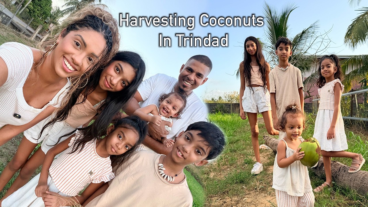 Сбор кокосов на нашей семейной земле | Обучение наших детей традициям Тринидада