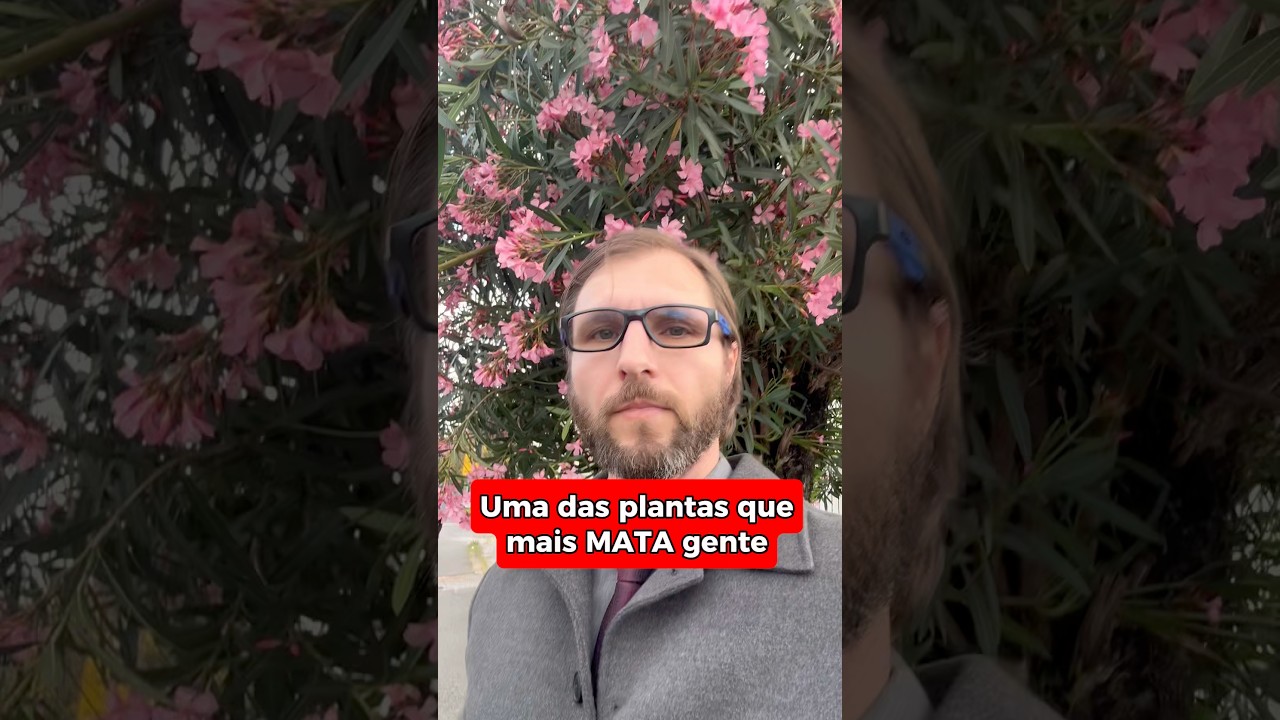 Cuidado com a espirradeira