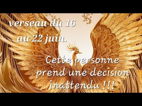 ♒️ sentimental verseau
