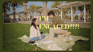 The Proposal | V L O G