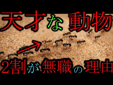 【頭脳王】迷惑YouTuberよりは全然頭良いと思われる動物集