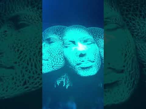 DVBBS Tsunami @