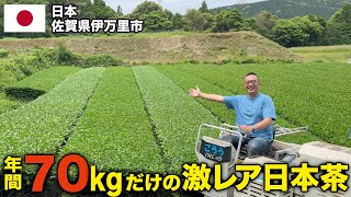 【限定収穫】年間70kgしか収穫されない激レアの日本茶を買い付けに佐賀県伊万里市まで行きました