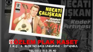 Necati Çalışkan  -Dünya Yalan Resimi