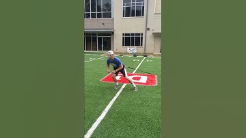 Sled cross over walk