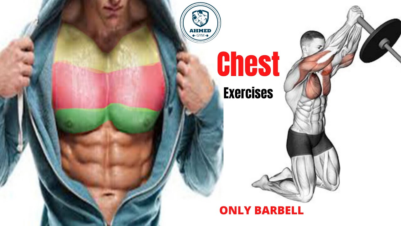افضل 6 تمارين صدر بالبار فقط ( تمارين طحن لتفجير عضلة الصدر | BEST 6 CHEST EXERCISES 💪 ONLY BARBELL