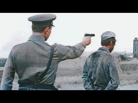 الإعدام الوحشي لواحد وتسعين ألف ألماني أ سروا في ستالينغراد