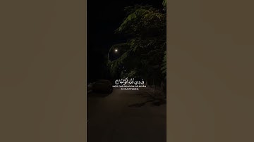 إذا جاء نصر الله والفتح |القارئ محمد اللحيدان