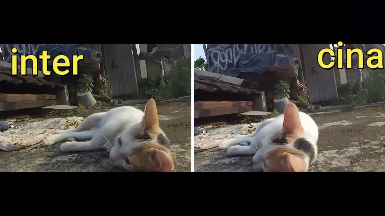 test yi cam inter vs yi cam china..