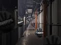 plaza Buenavista  en México , tú qué piensas #paranormal #urbex #miedo #leonguanajuato