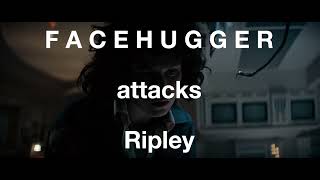 Facehugger attacks Ripley in Alien