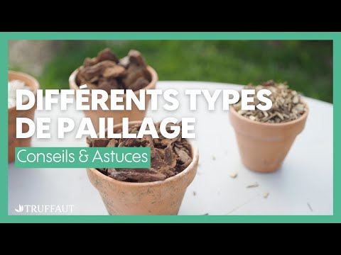 Vidéo: Jardinières en bois, leurs types et leur rôle dans la décoration