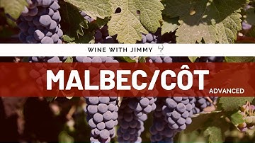Grape Varieties - Côt/Malbec Advanced Version ideal for WSET Level 3 and Level 4 (WSET Diploma)